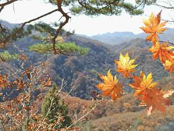 白癜風(fēng)會(huì)遺傳嗎 白癜風(fēng)會(huì)不會(huì)遺傳要看這3個(gè)因素